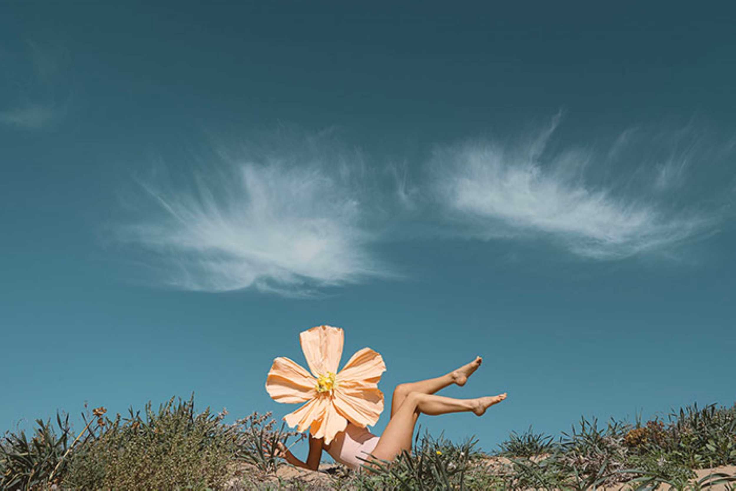 Open Skies