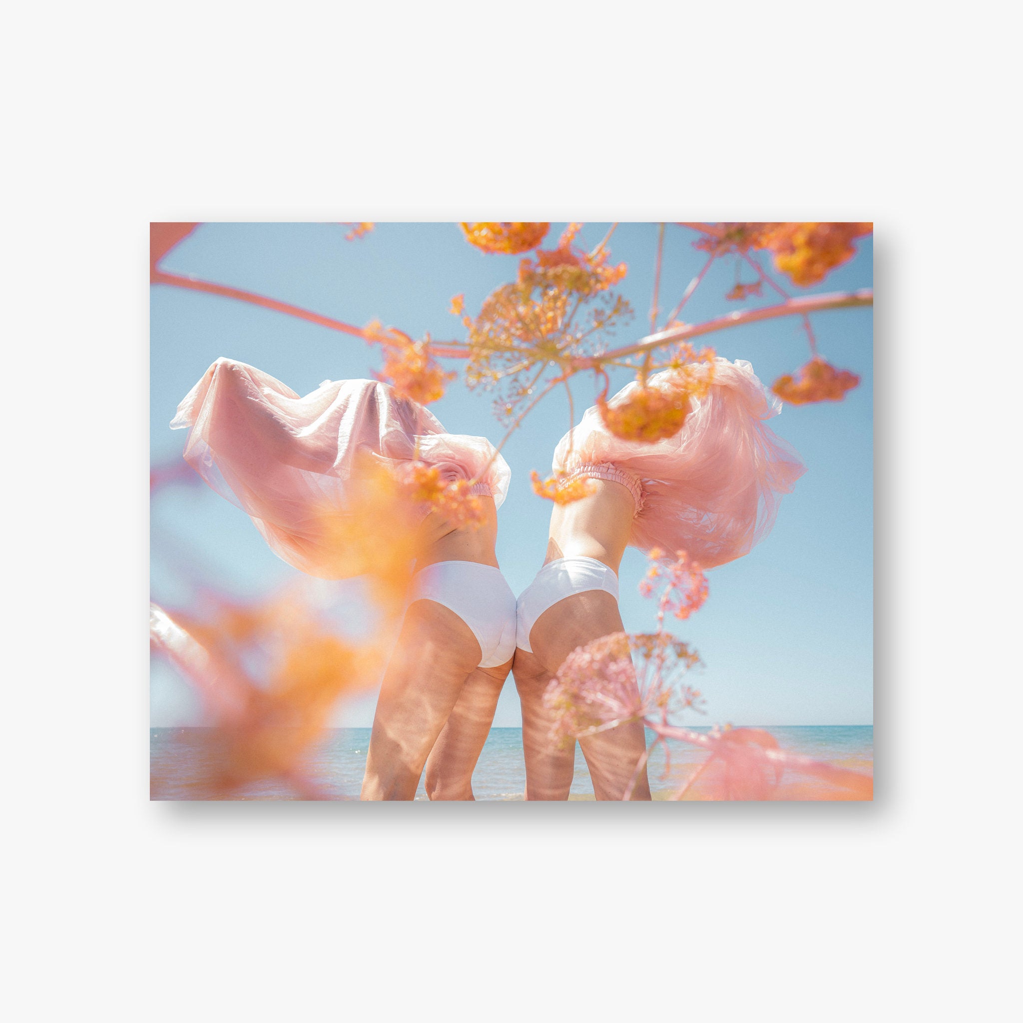 Blossom