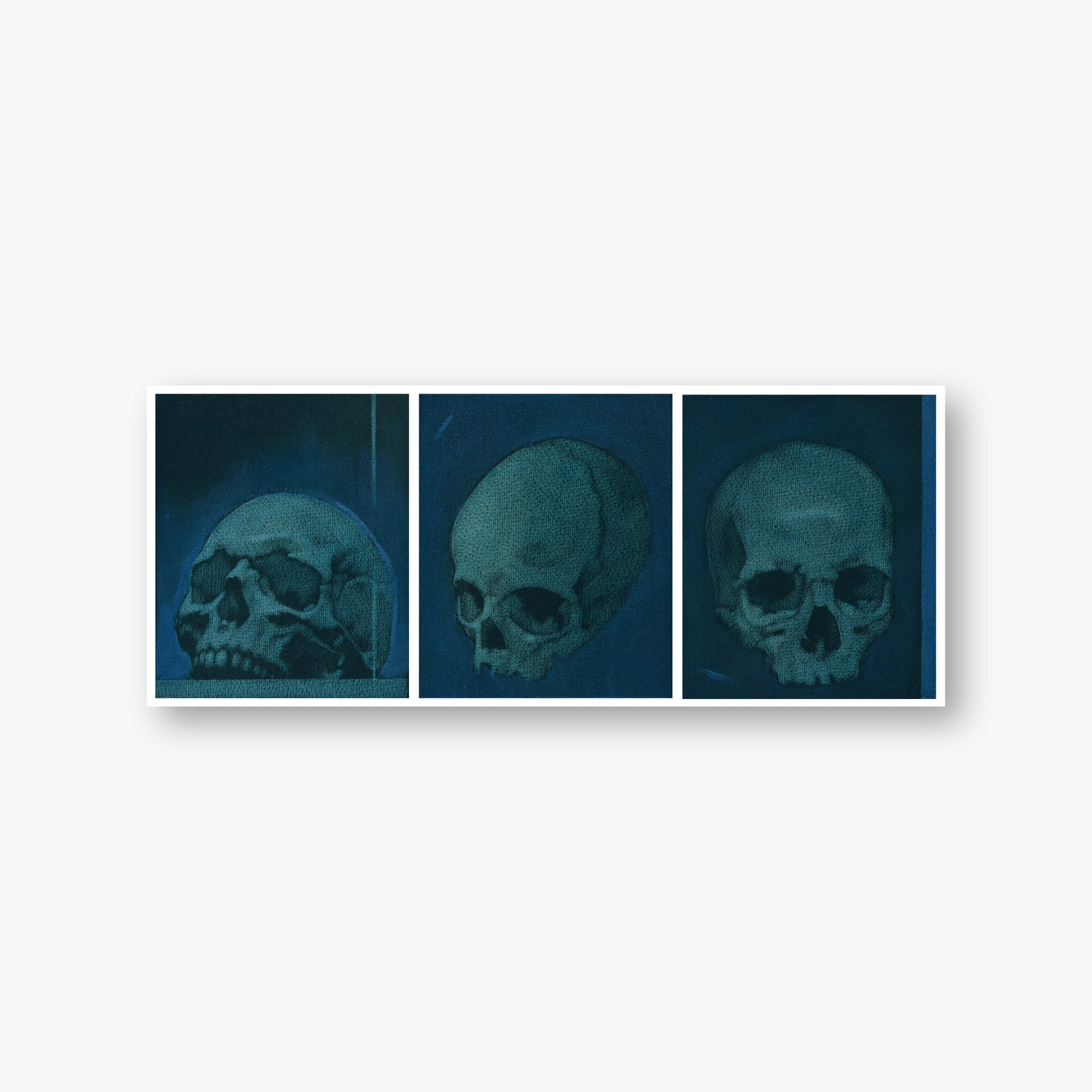 Vanitas Triptych