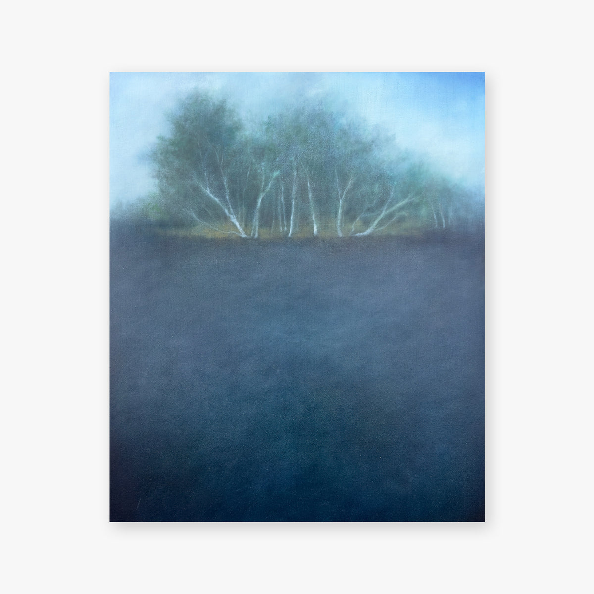 Dark (Birches)